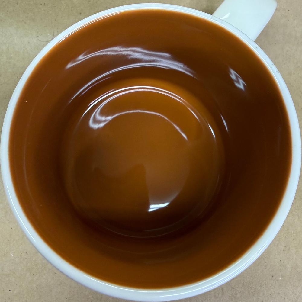 Starbucks You Are Here Series Mumbai Mug NIB-2017