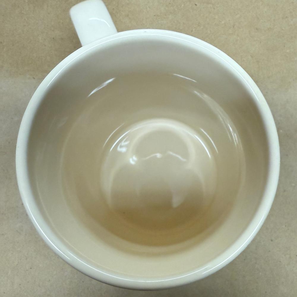 Caribou Coffee Live Your Adventure Mug-2022