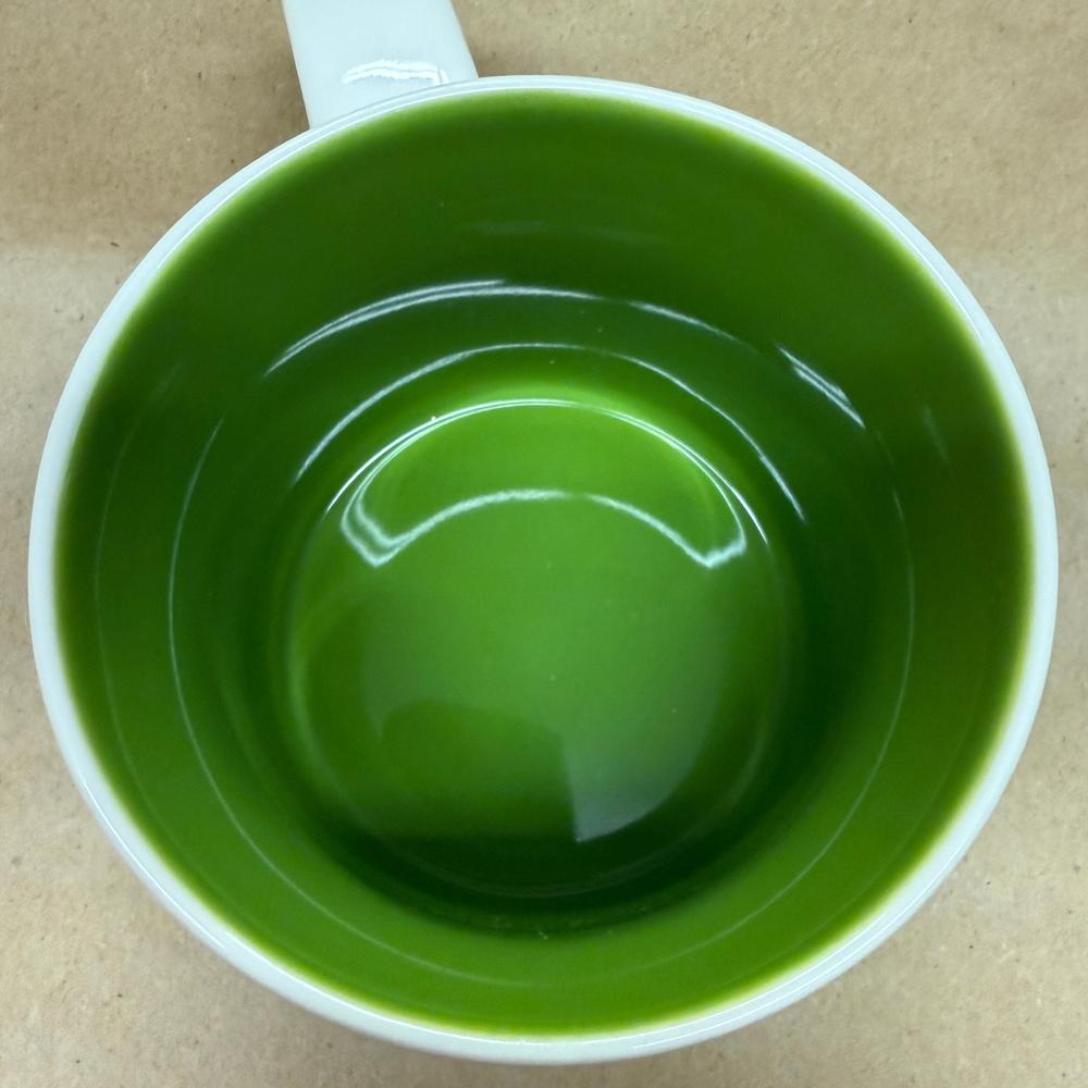 Starbucks You Are Here Series Wisconsin Mug-2017