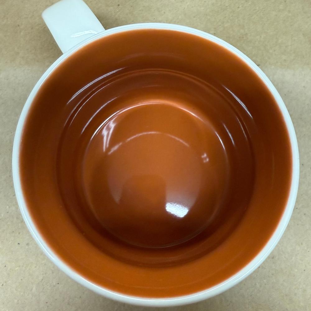 Starbucks You Are Here Series Chicago Mug-2013