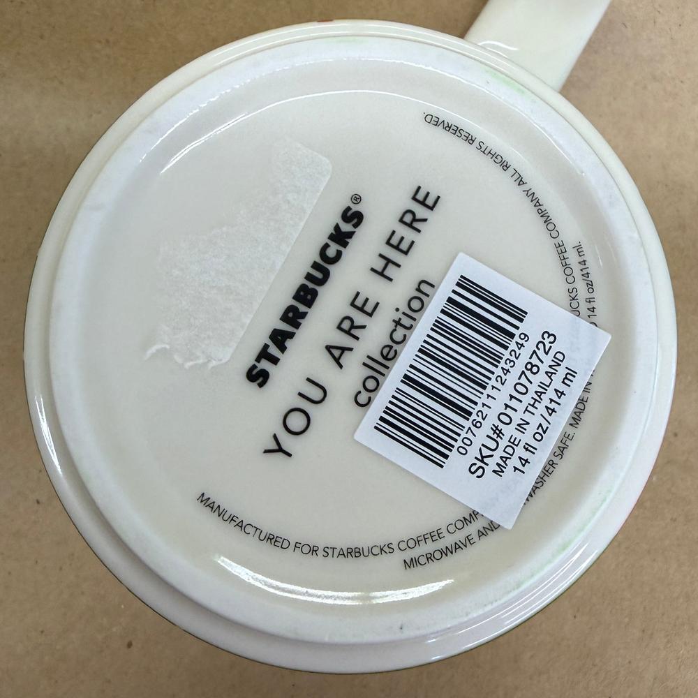 Starbucks You Are Here Series New Delhi Mug NIB-2017