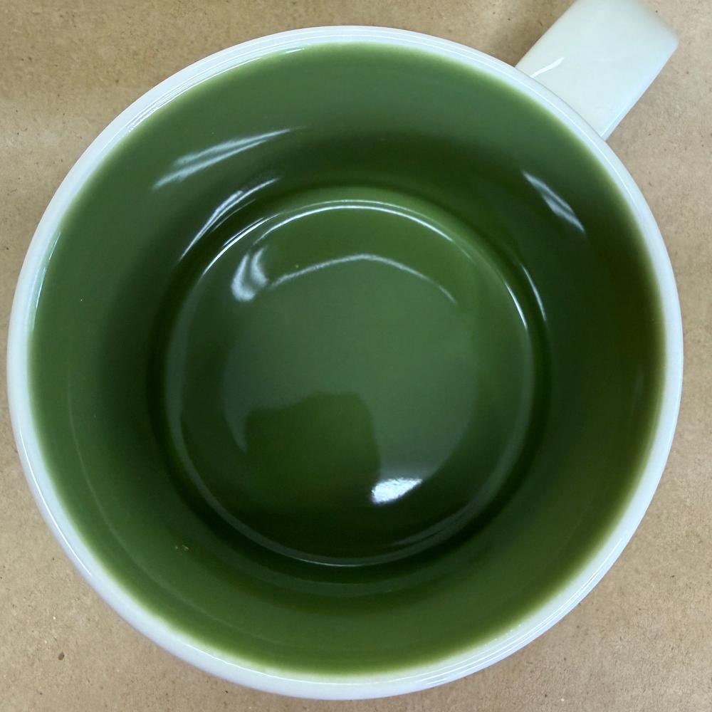 Starbucks You Are Here Series New Delhi Mug NIB-2017