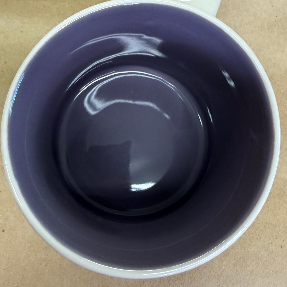 Starbucks You Are Here Series Pretoria Mug NIB-2016