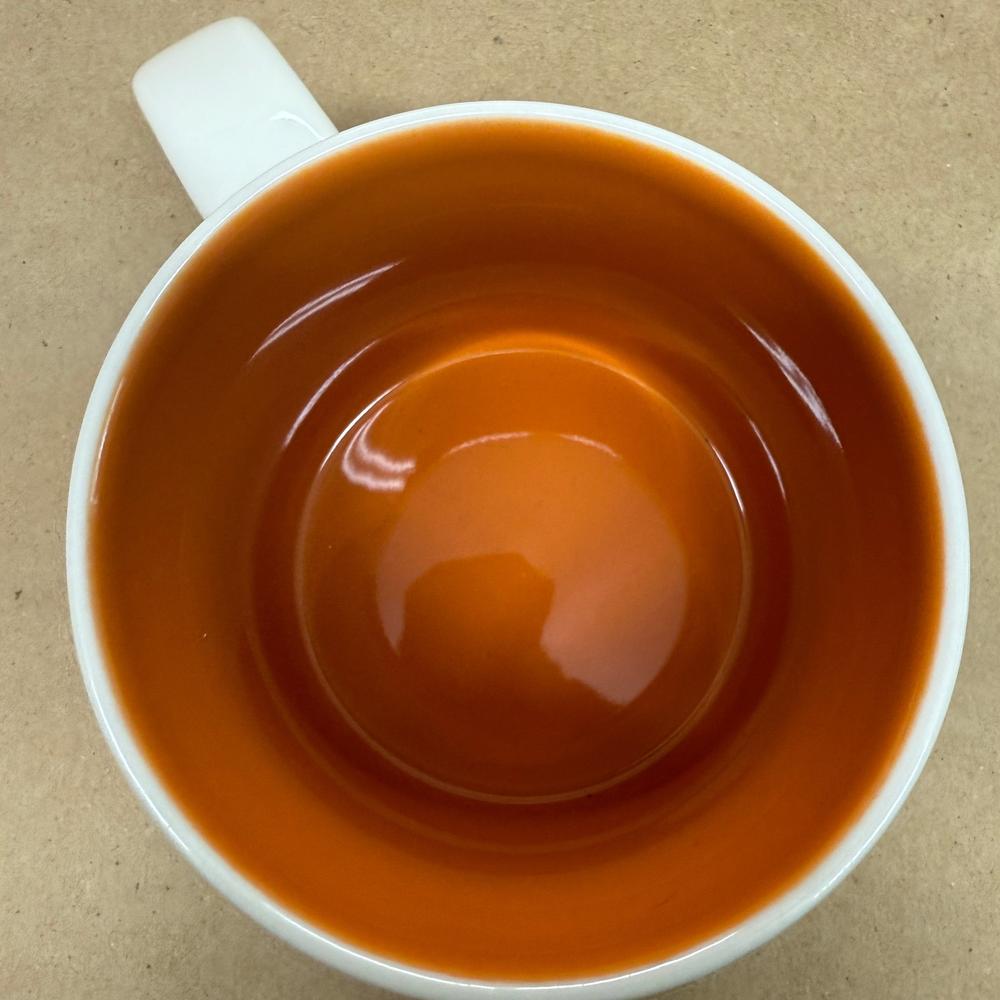 Starbucks You Are Here Series Phoenix Mug-2016