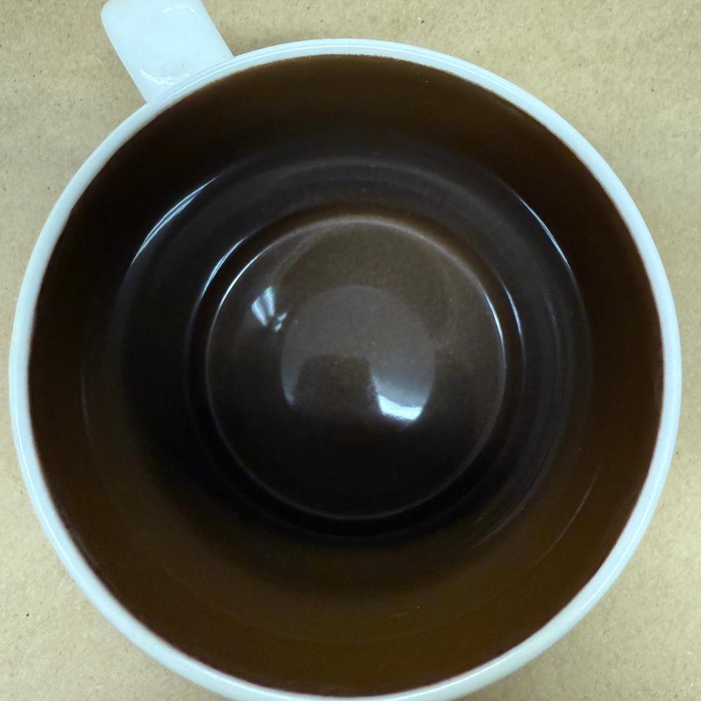 Starbucks Global Icon Collector Series Arizona Mug-2012