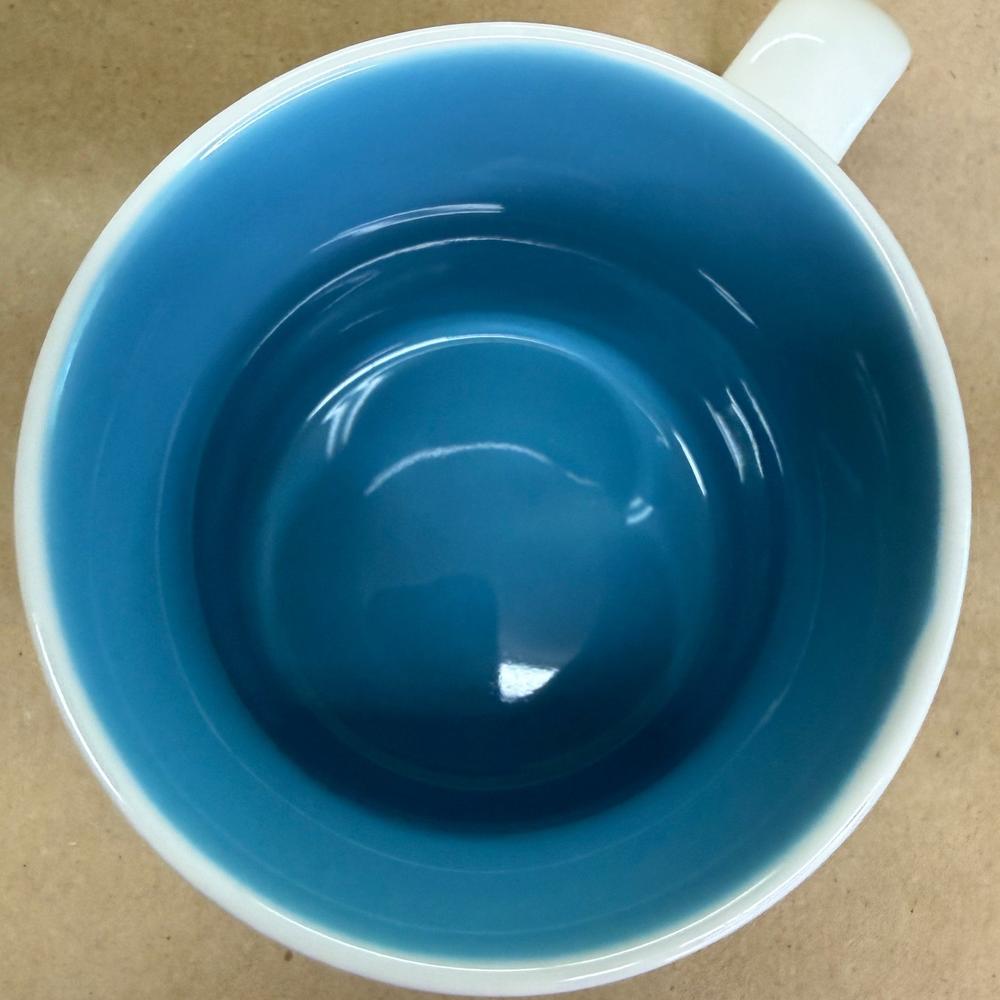 Starbucks Global Icon Collector Series Aruba Mug-2017