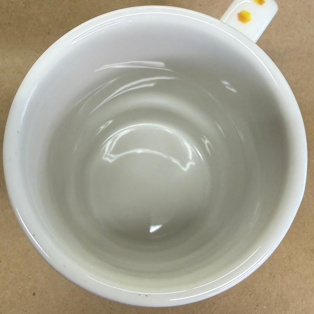 Starbucks Japan Geography Series Okinawa Mug NIB-2016
