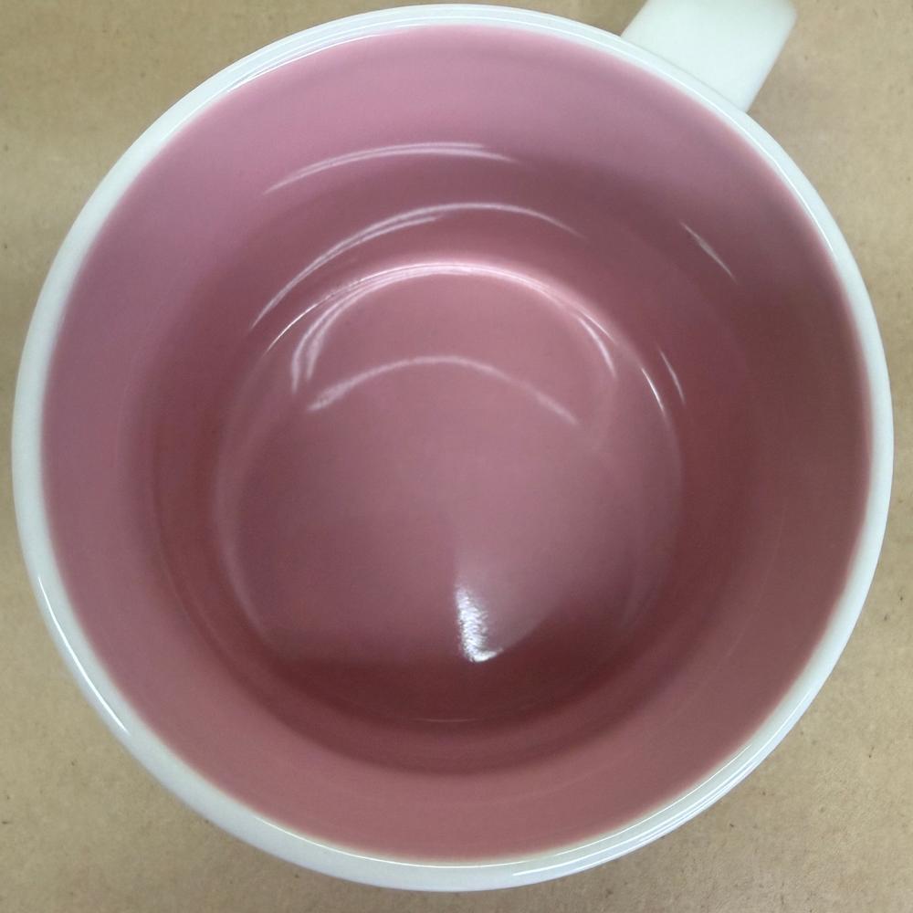 Starbucks Been There Series Florida Mug-2023
