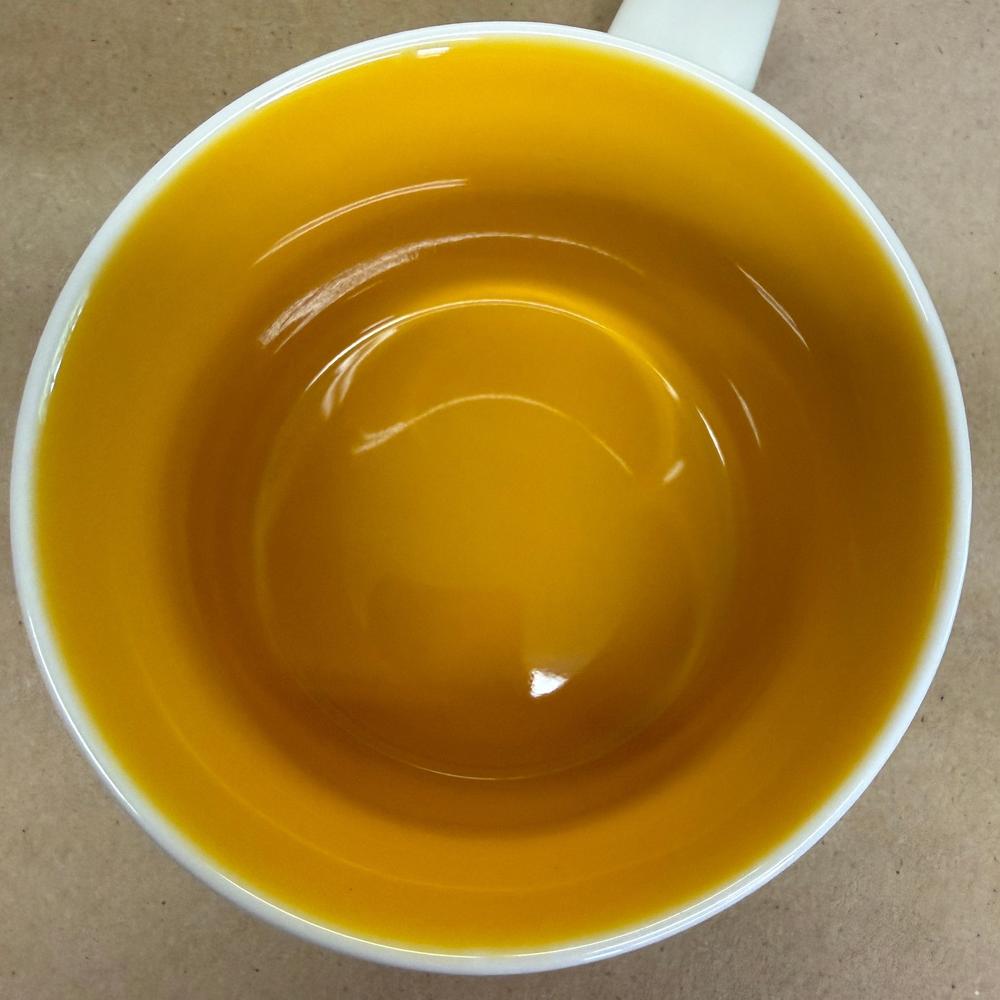 Starbucks You Are Here Series Pittsburgh Mug-2014