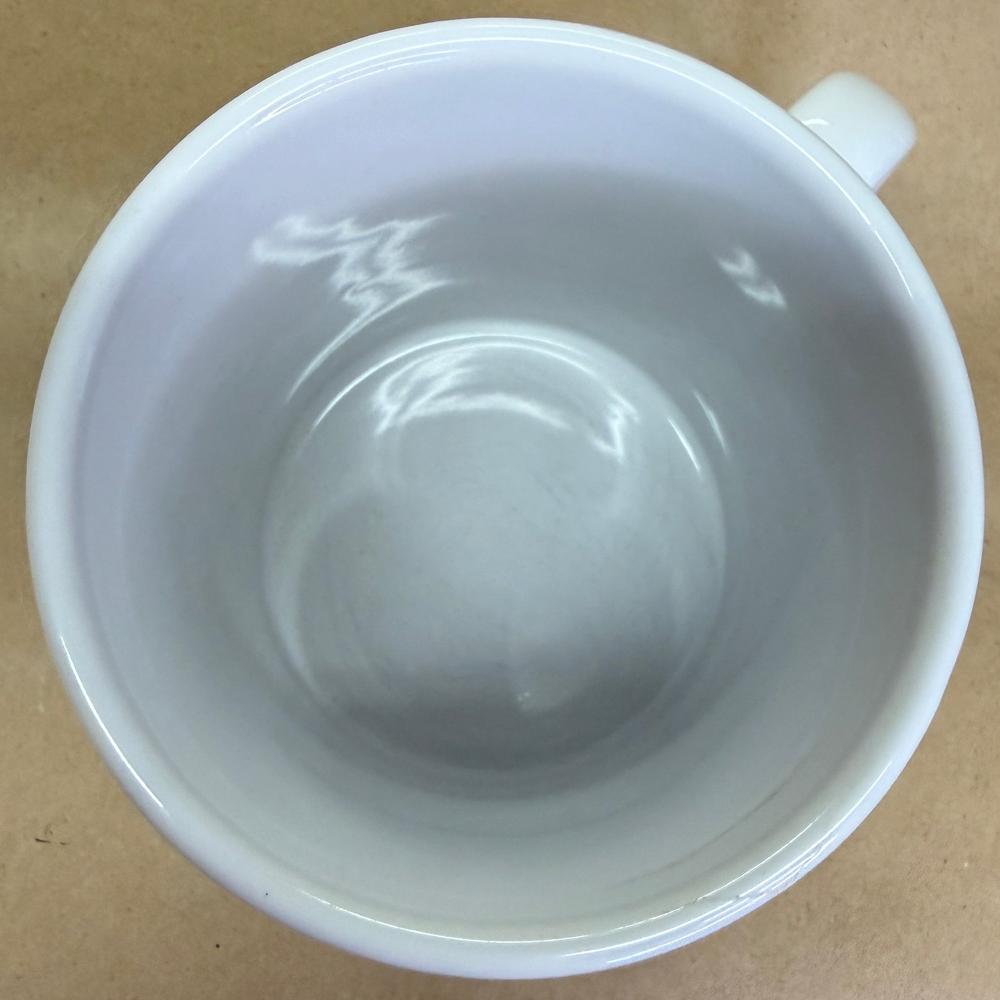 Starbucks City Mug Series Hawaii Mug-2001
