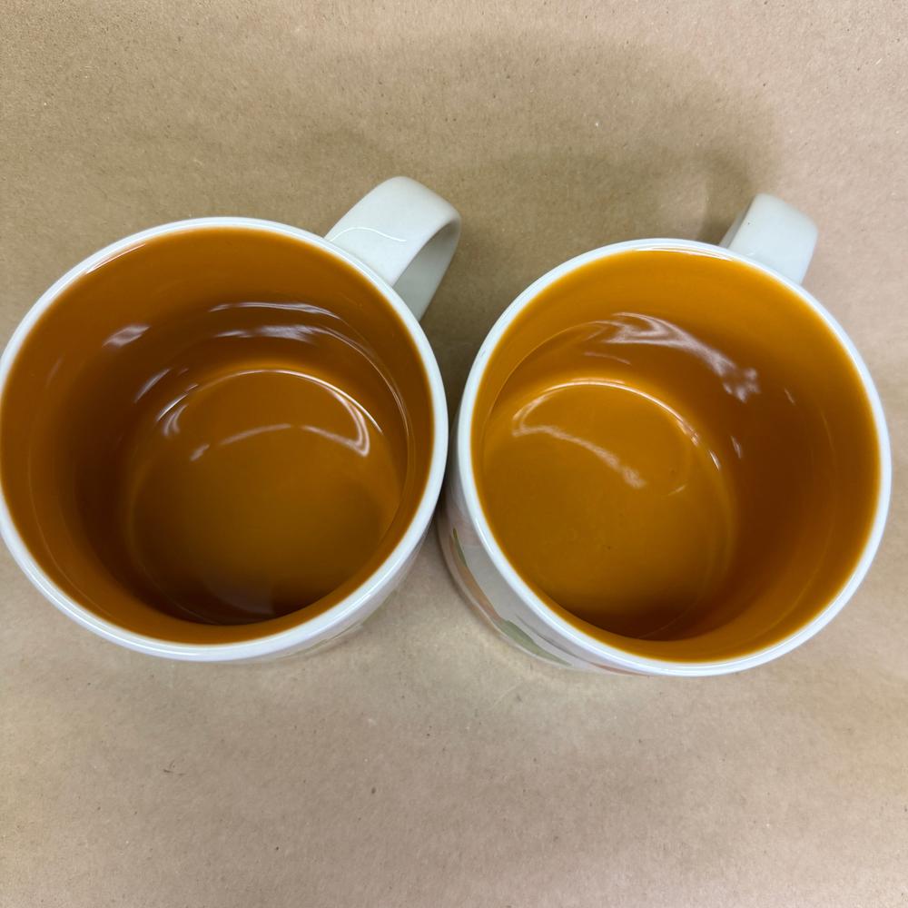Starbucks You Are Here Series Orlando Mugs Pair-2014