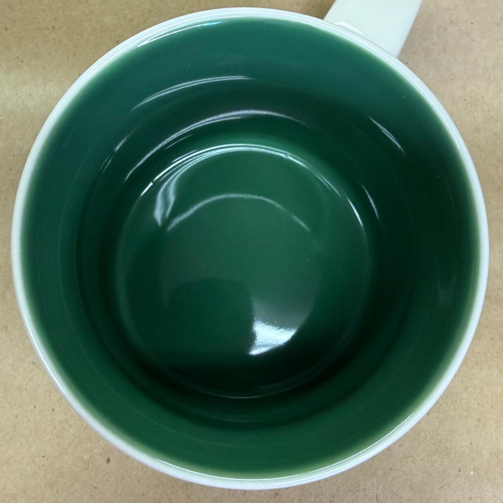 Starbucks Been There Series Dunedin Mug NIB-2023