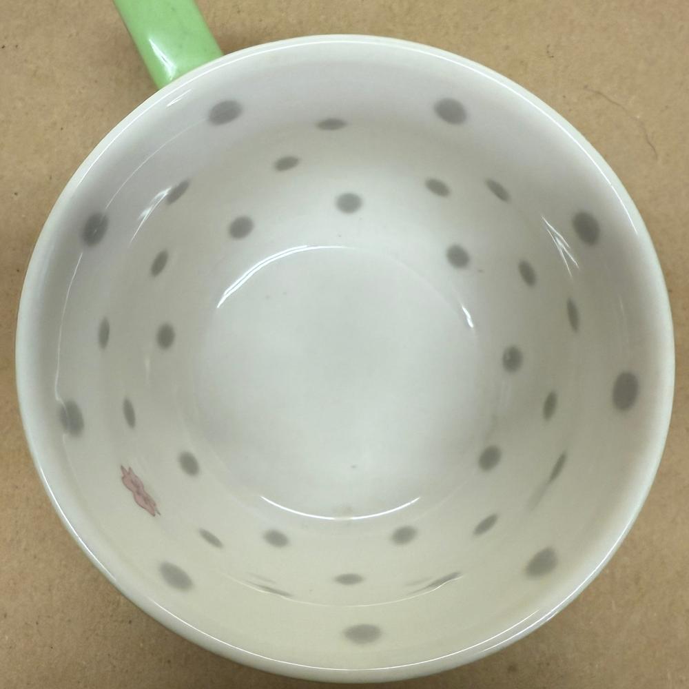 Starbucks Light Green with Grey Polka Dots/Pink Flower Inside Mug-2005