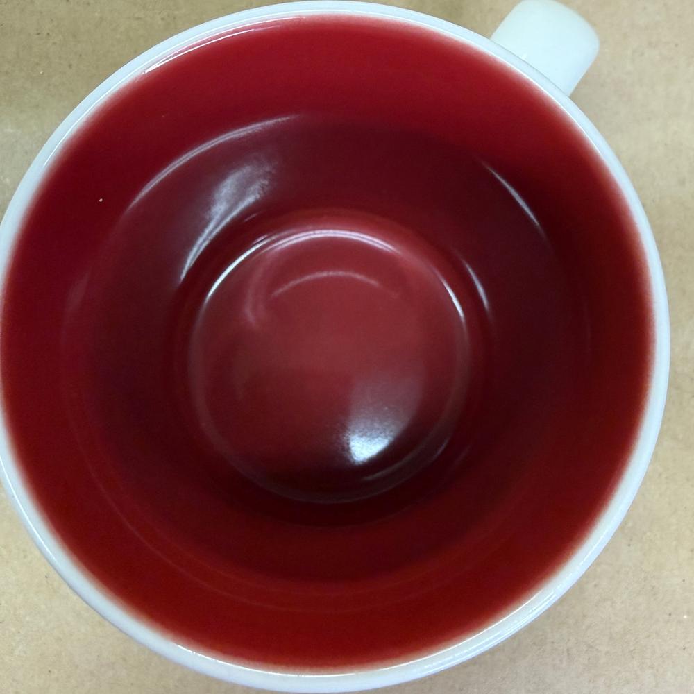 Starbucks 12 Days of Coffee Mug-2018