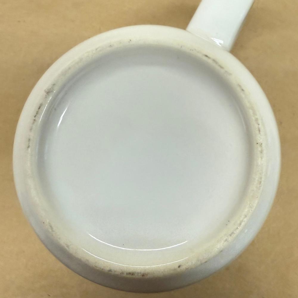 NASA JPL Mars Global Surveyor Mug