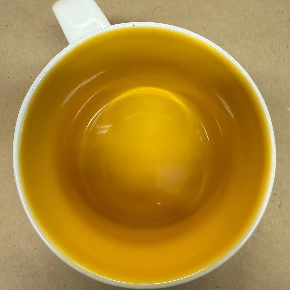 Starbucks You Are Here Series Mug Florida-2017