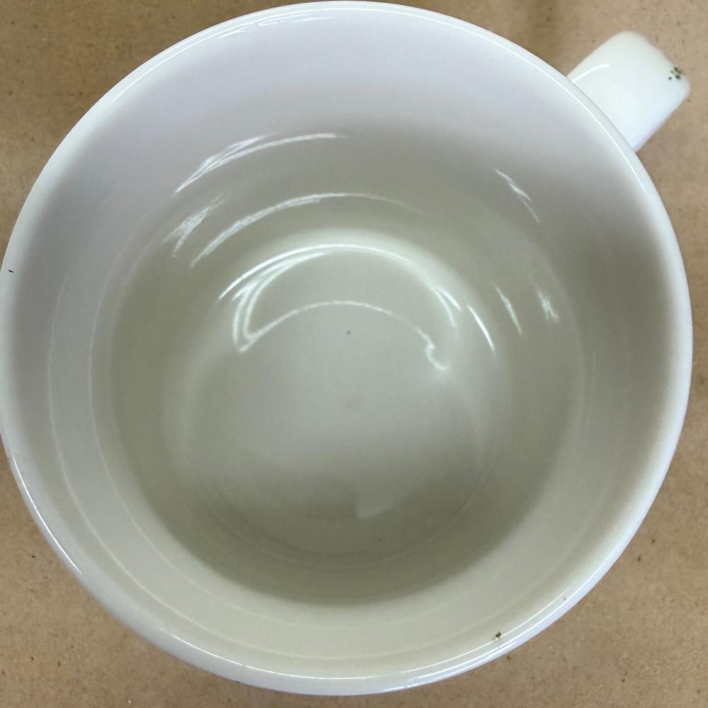 Starbucks Kyoto Japan Mug-2014