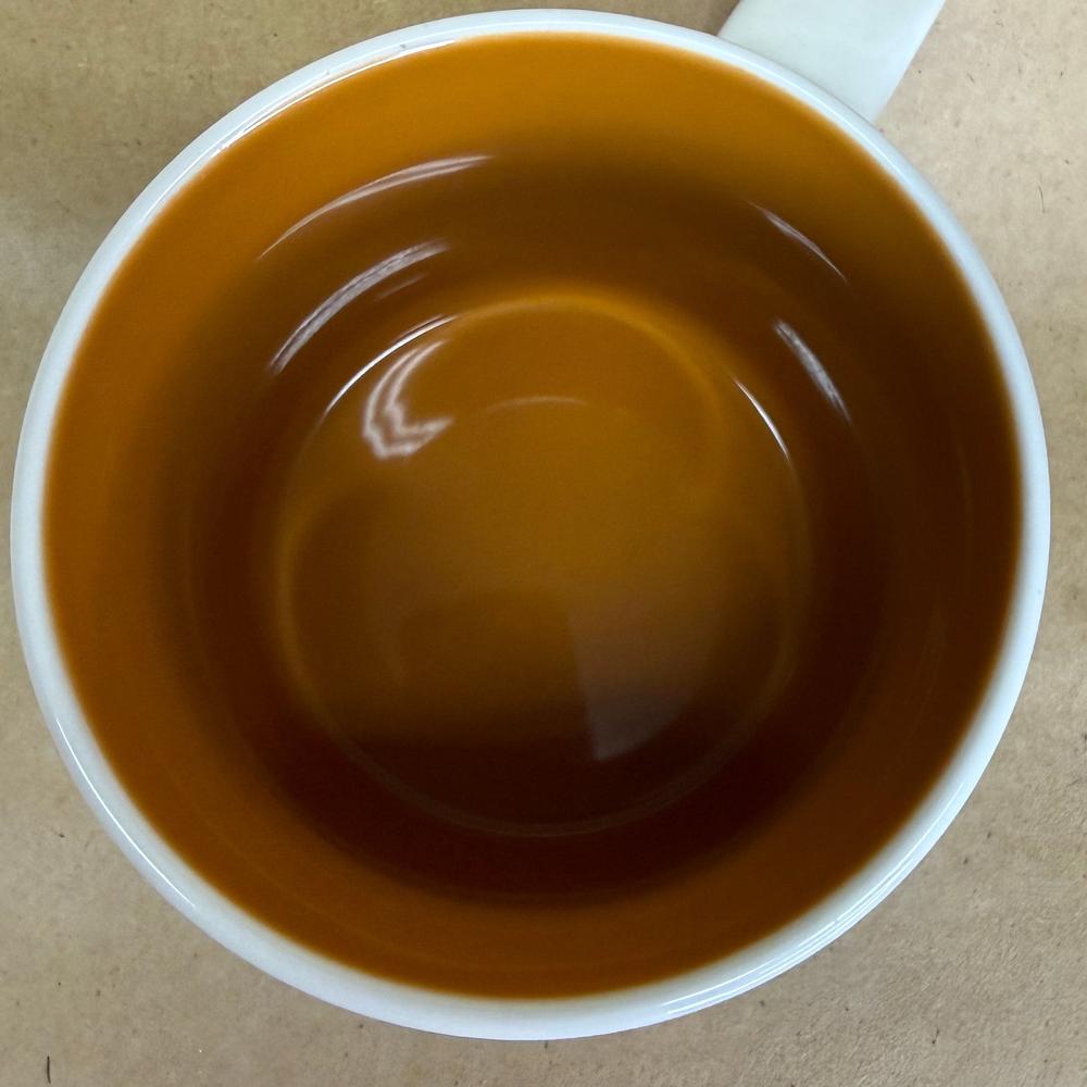 Starbucks You Are Here Series Texas Mug-2015
