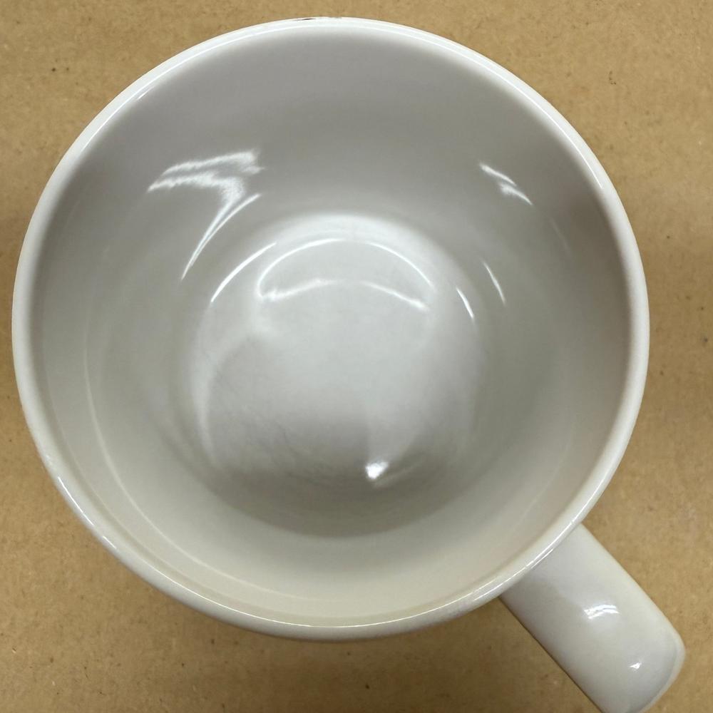 NBC Peacock Logo Mug