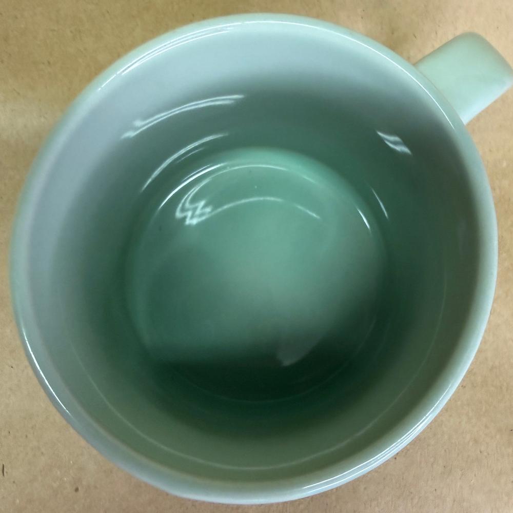 Starbucks Mint Green Ribbed Embossed Mug-2014