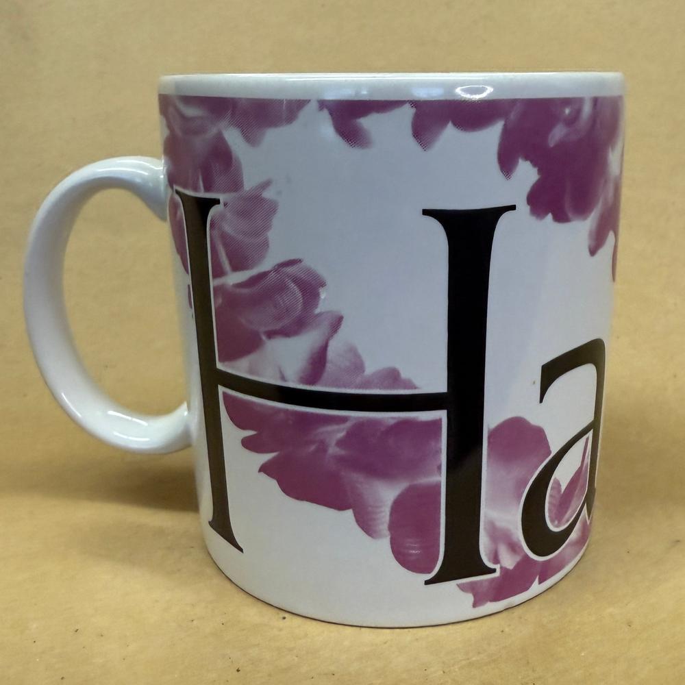 Starbucks Hawaii City Mug Series-1994