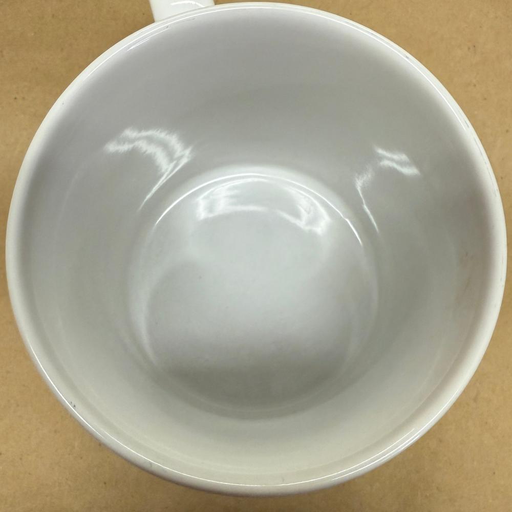 Starbucks Hawaii City Mug Series-1994