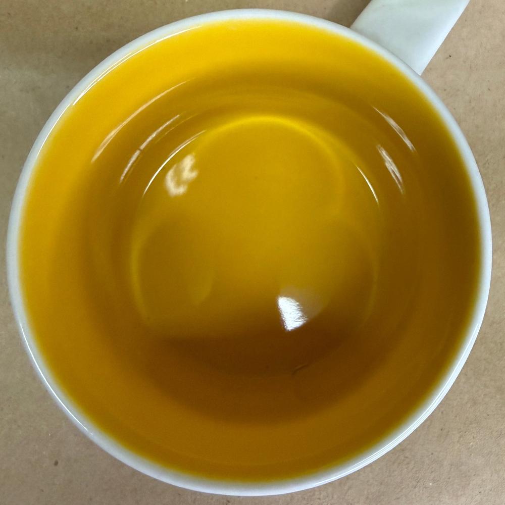 Starbucks You Are Here Series Dallas Mug-2015