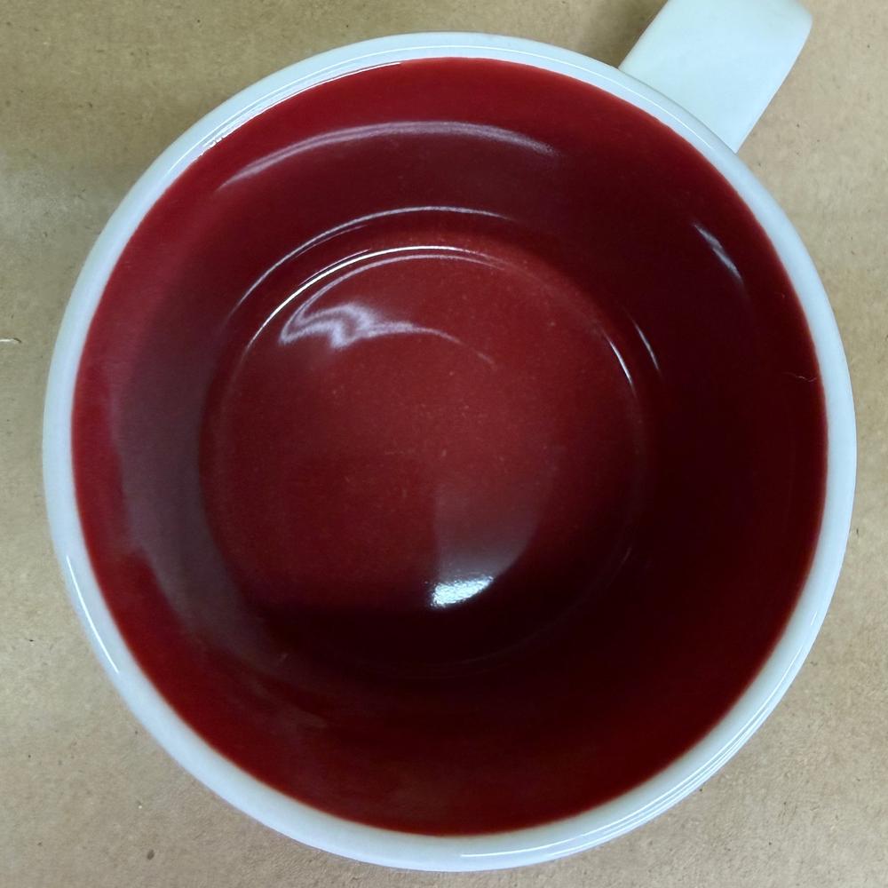 Starbucks You Are Here Series Heidelberg Mug-2019