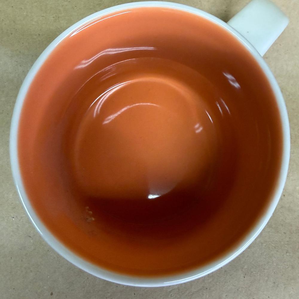 Starbucks Been There Series Tennessee Mug-2018