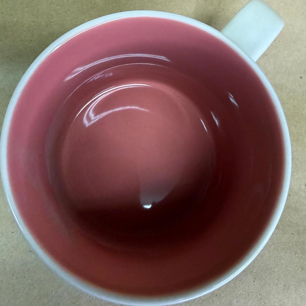 Starbucks Been There Series South Carolina Mug-2018