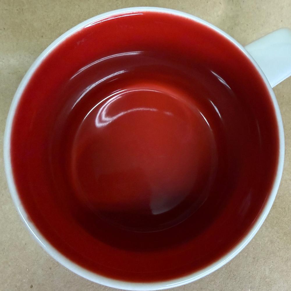 Starbucks You Are Here Series Canada Mug-2017