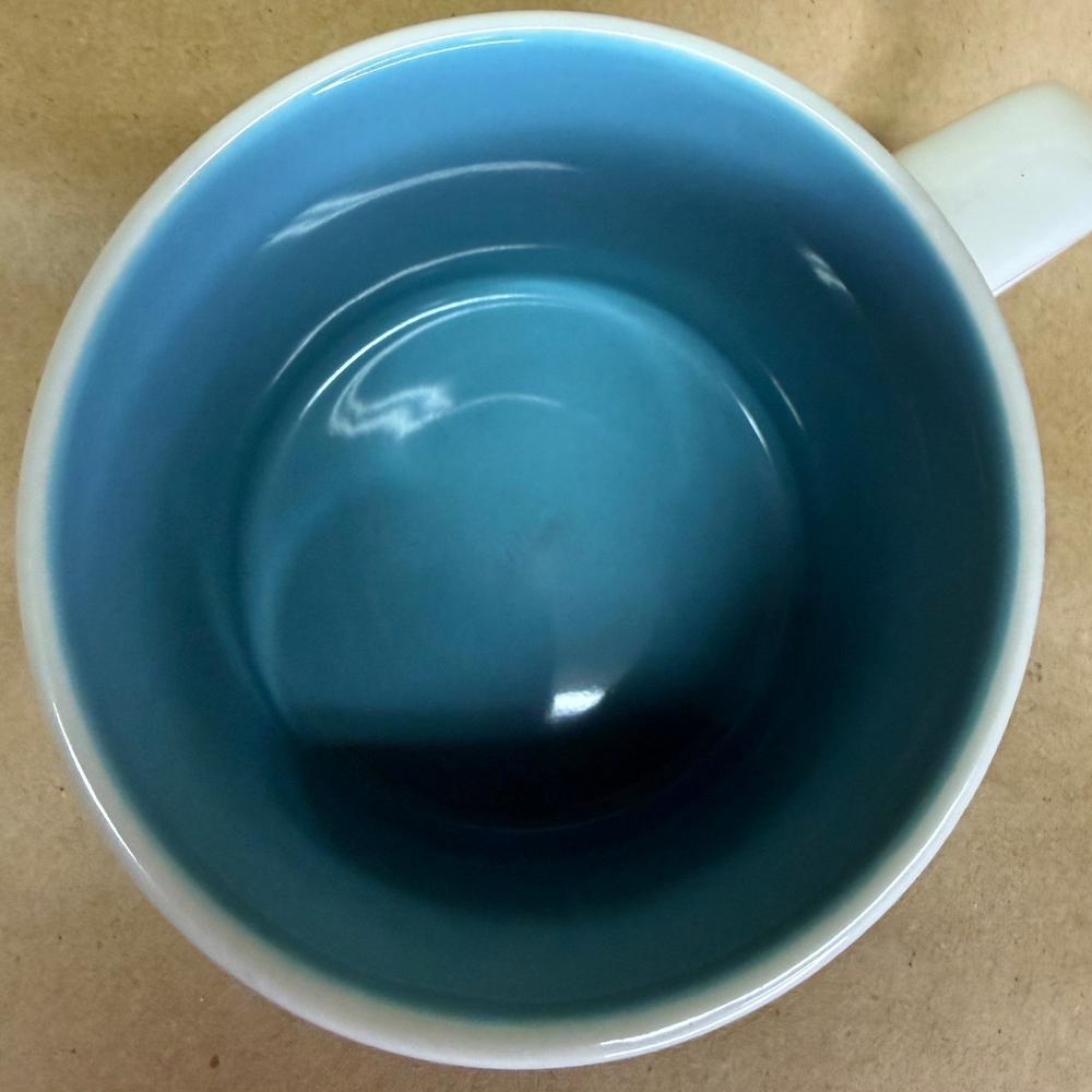 Starbucks You Are Here Series Amsterdam Mug-2016