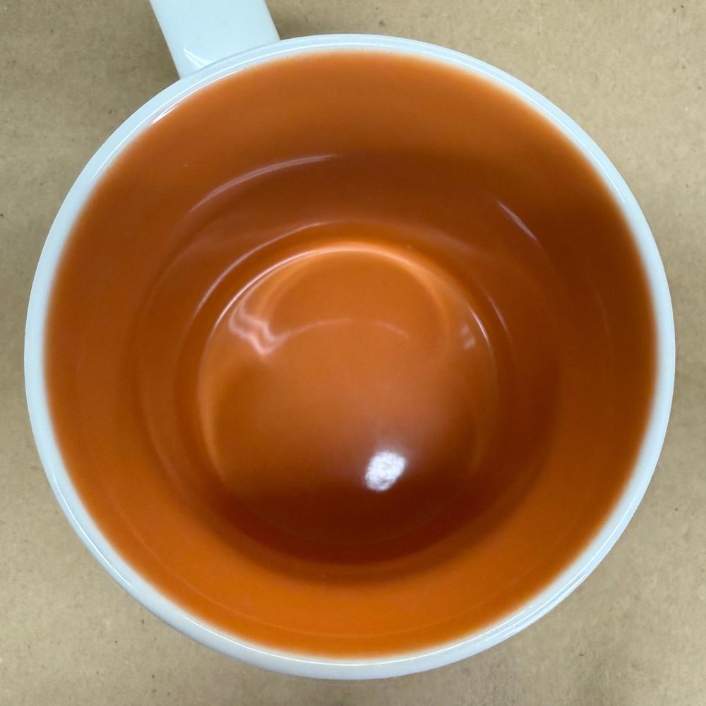 Starbucks Global Icon Collector Series Hong Kong Mug-2010