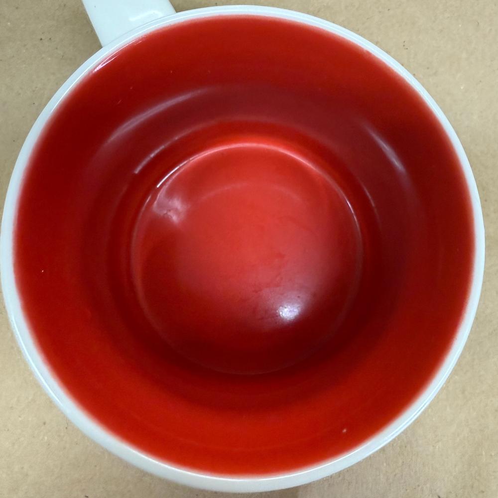 Starbucks Been There Series Puerto Vallarta Mug-2020