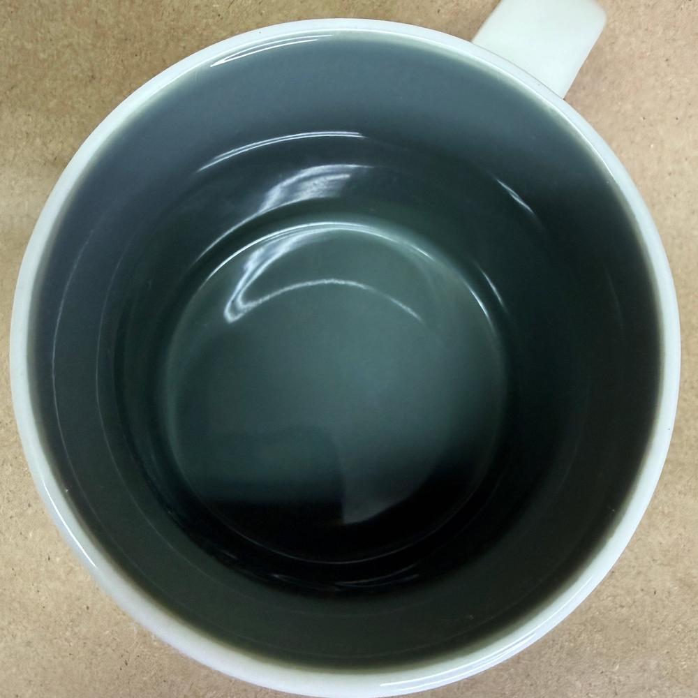 Starbucks You Are Here Series Washington DC Mug-2013