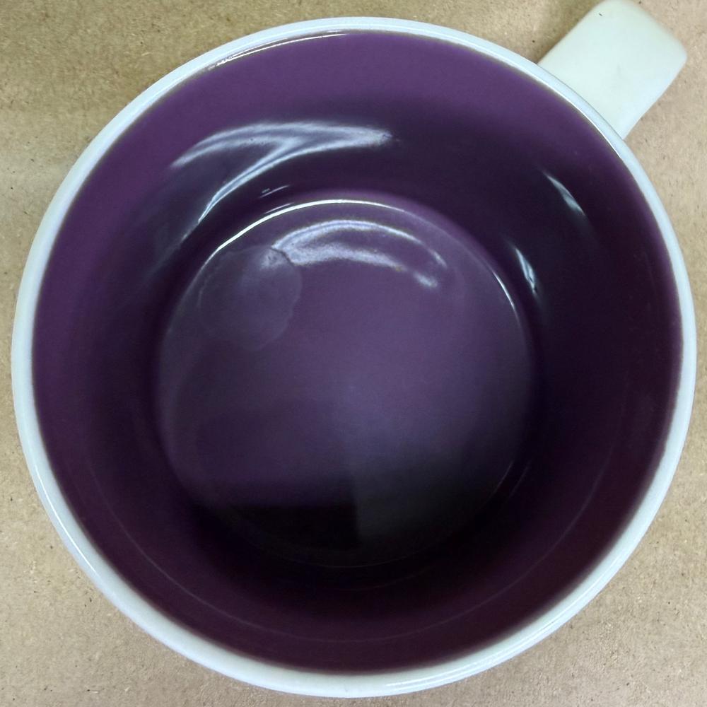 Starbucks You Are Here Disney Parks Magic Kingdom Tomorrowland Mug