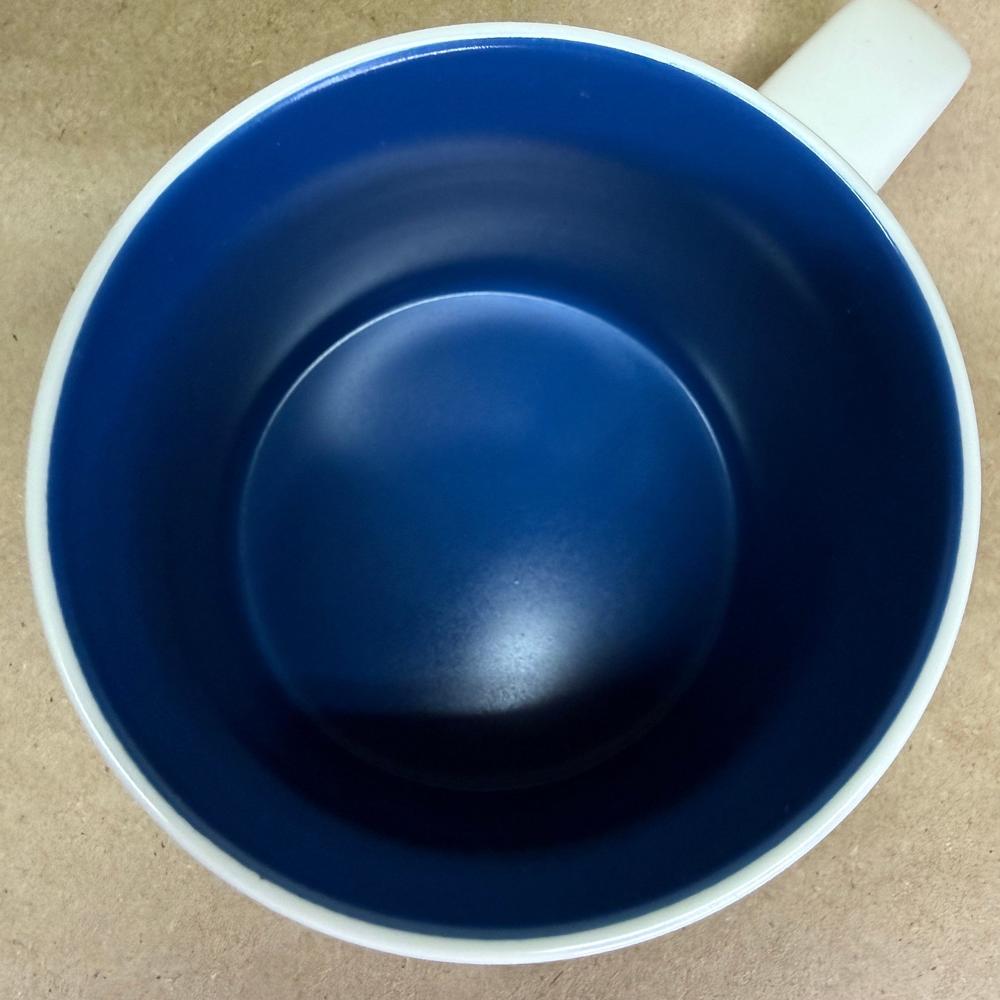 Starbucks Discovery Disney Magic Kingdom Mug NIB-2024