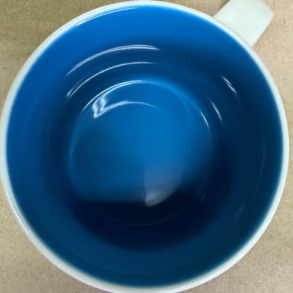 Starbucks Been There Series Ontario Mug-2019