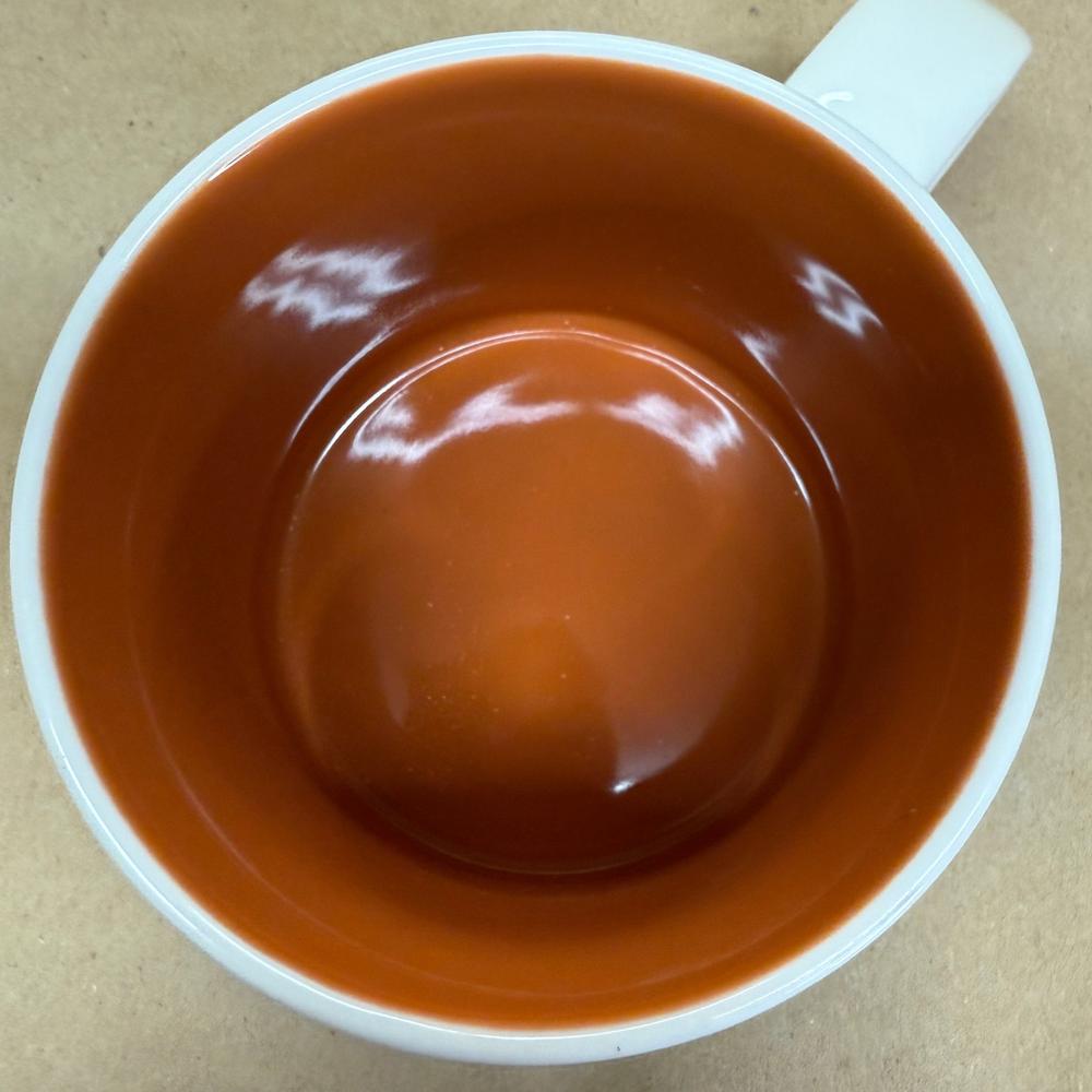 Starbucks You Are Here Series Disney's Animal Kingdom Mug