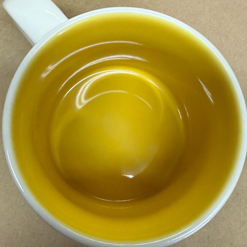 Starbucks You Are Here Series Univeral Orlando Resort Mug-2016