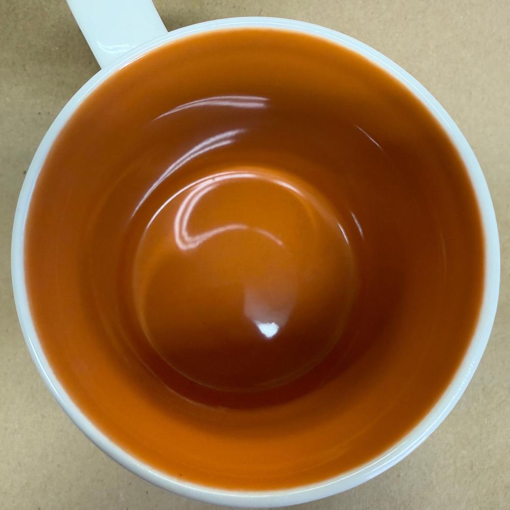 Starbucks Global Icon Netherlands Mug-2011