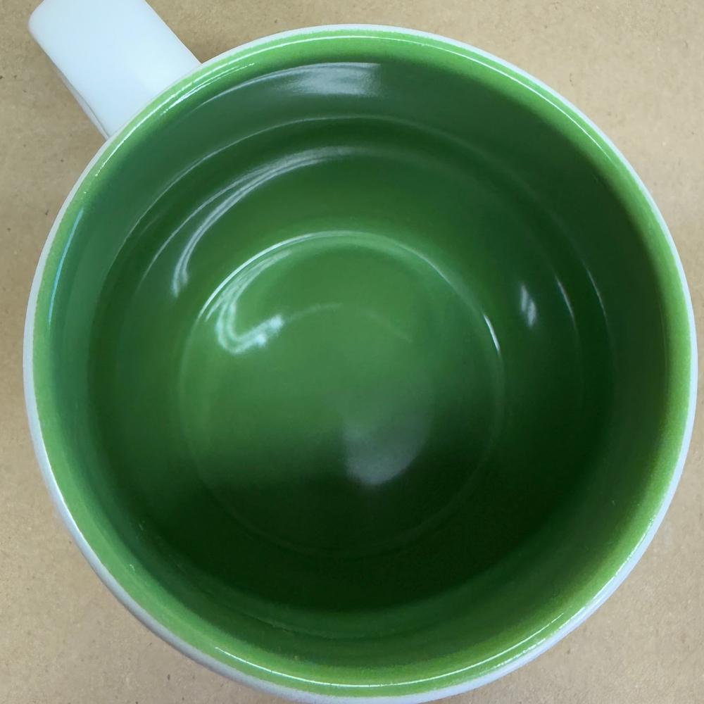 Starbucks Etched Siren Green Interior Mug-2011