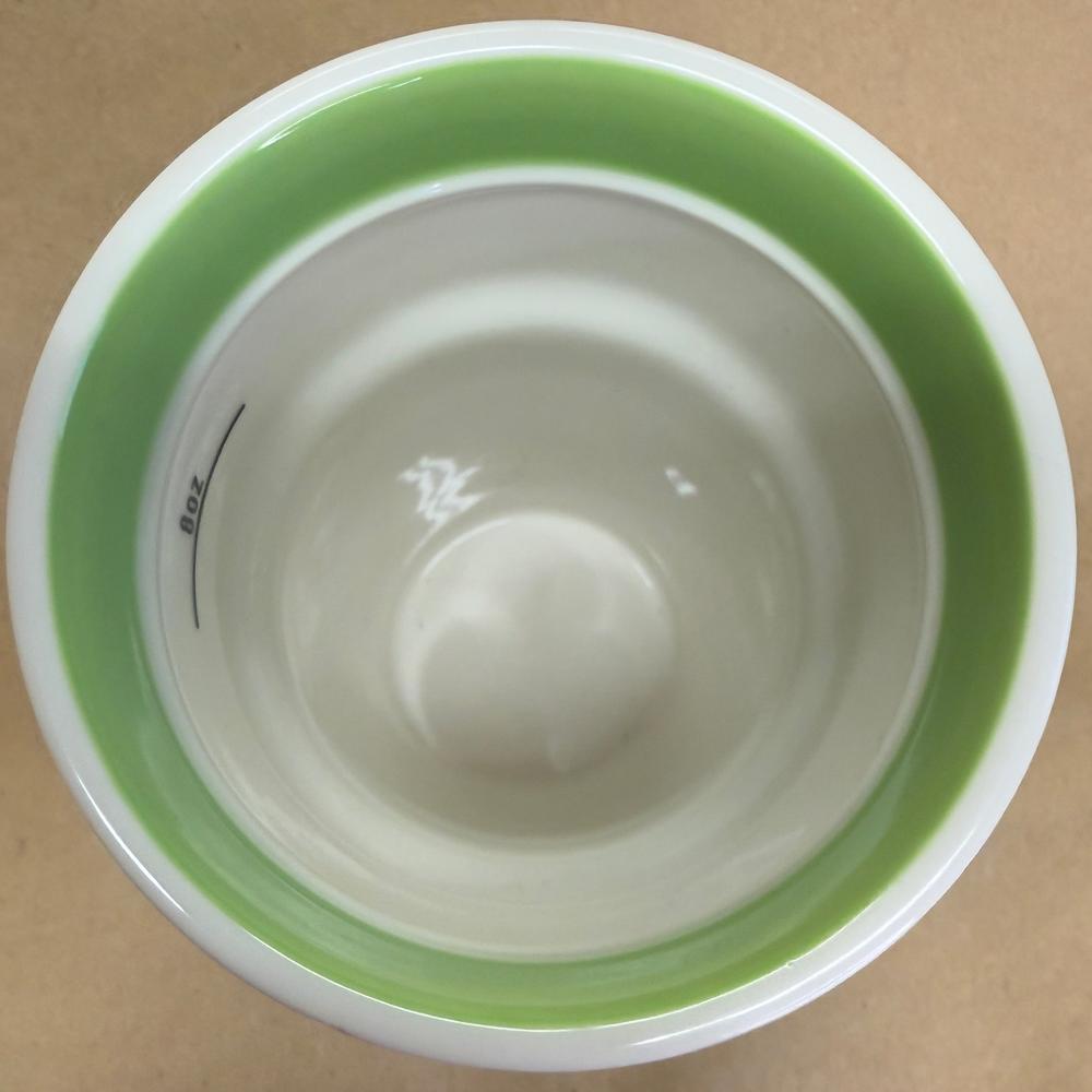 Starbucks VIA Ready Brew Tumbler Green Interior-2011