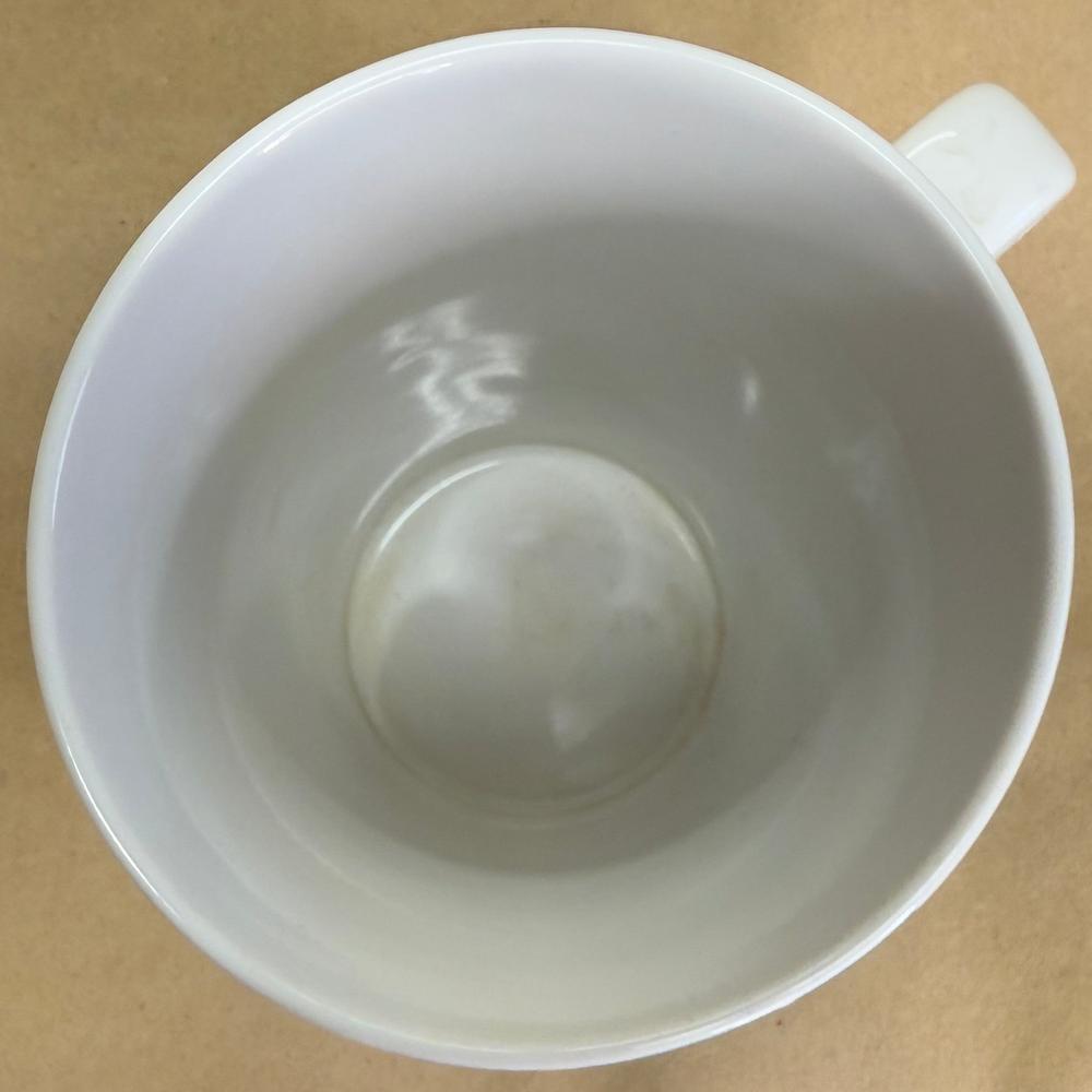 Starbucks Dot Collection Green Blue Yellow Floral Mug-2014