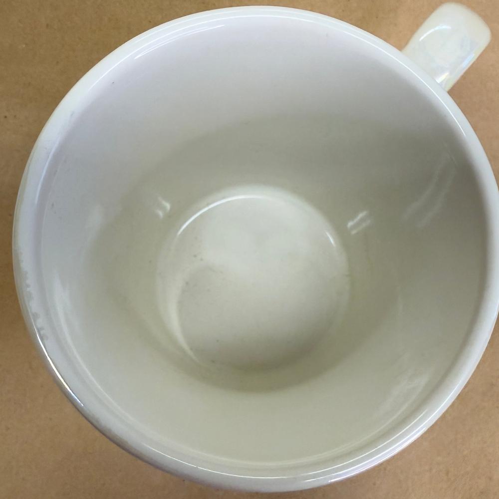 Starbucks Iridescent Mother of Pearl Glaze Mug-2012