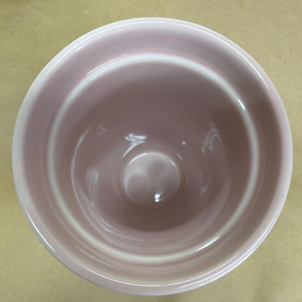 Starbucks Pink Floral Daisy Blossom Tumbler