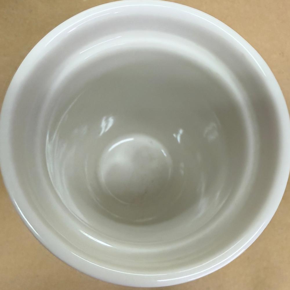 Starbucks Citron Yellow Black Dot Siren Ceramic Tumble-2015