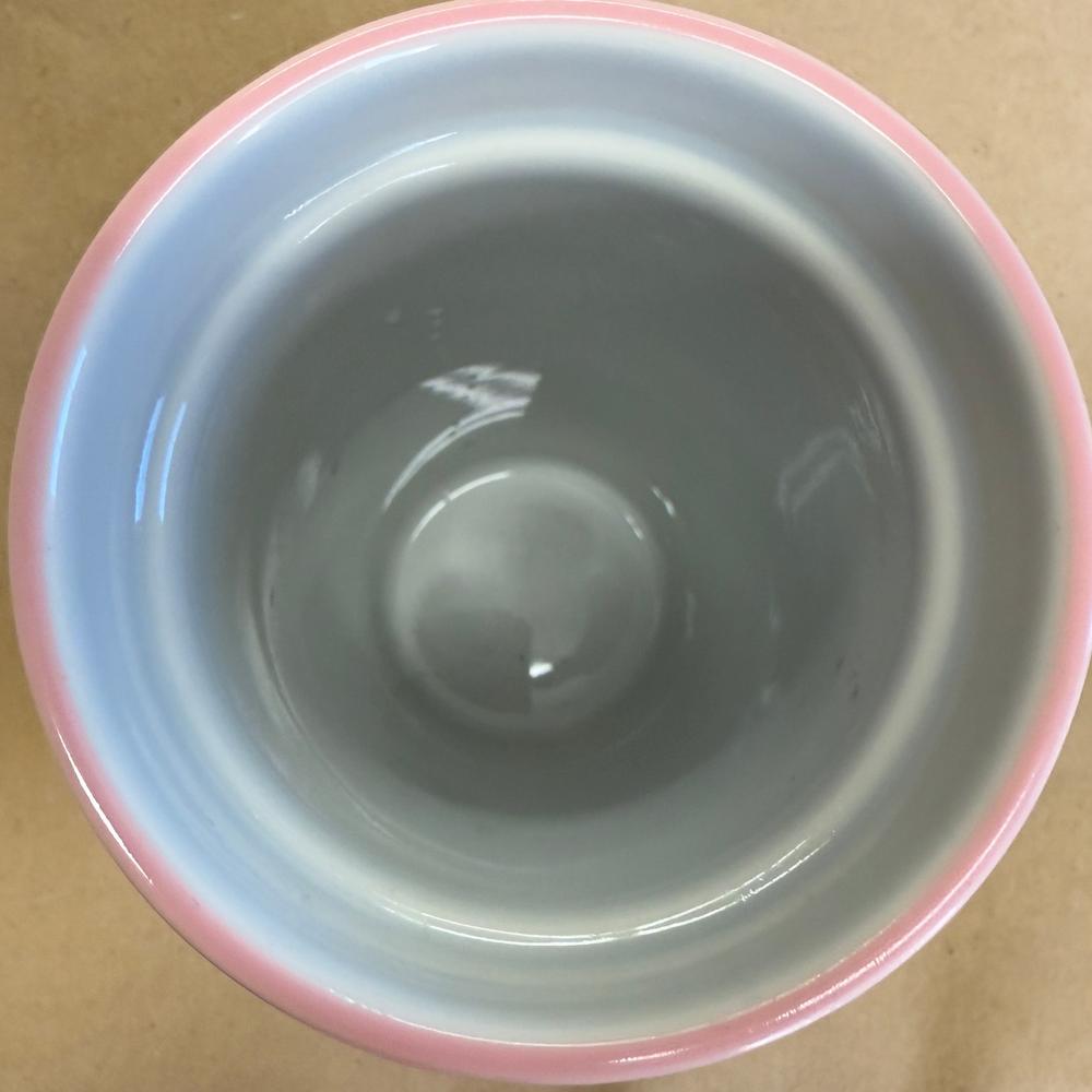 Starbucks Ban.do Stay Cozy Ceramic Tumbler