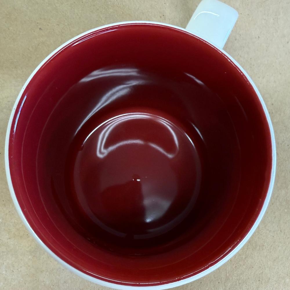 Starbucks Global Icon Salzburg Mug-2014