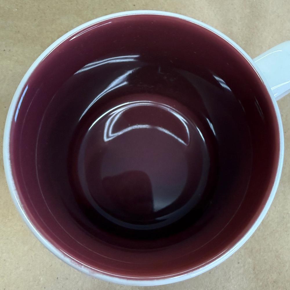 Starbucks Global Icon Vienna Mug-2014